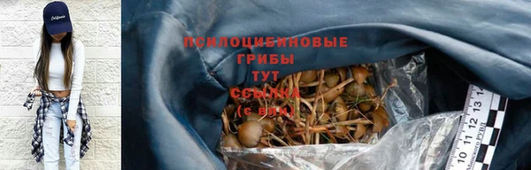 твердый Армянск