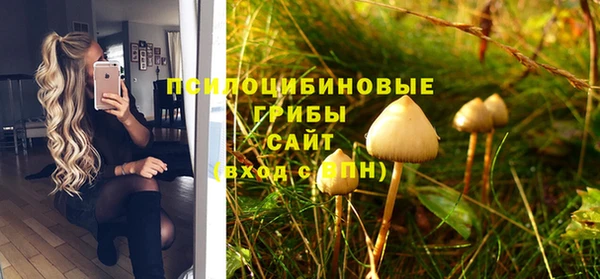 твердый Армянск